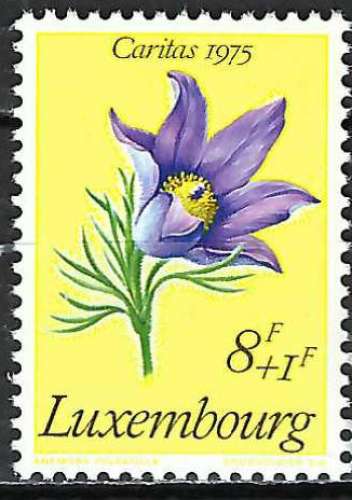 Luxembourg - 1975 - Y & T n° 867 - MNH
