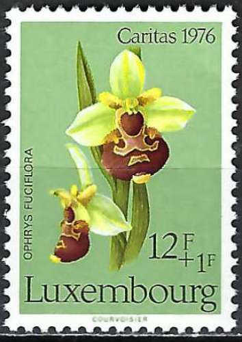 Luxembourg - 1976 - Y & T n° 889 - MNH