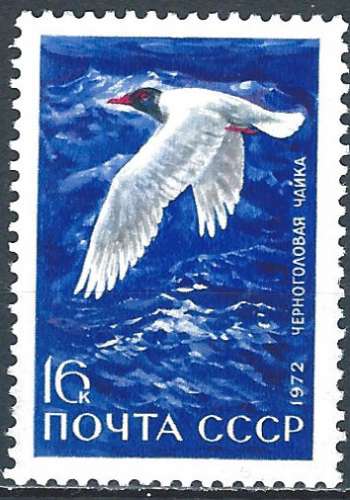 Russie - 1972 - Y & T n° 3806 - MNH