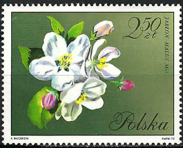 Pologne - 1971 - Y & T n° 1985 - MNH