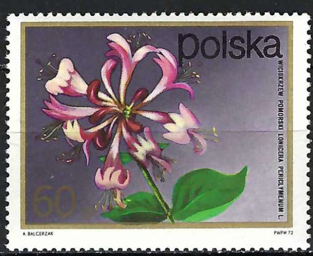 Pologne - 1972 - Y & T n° 2060 - MNH