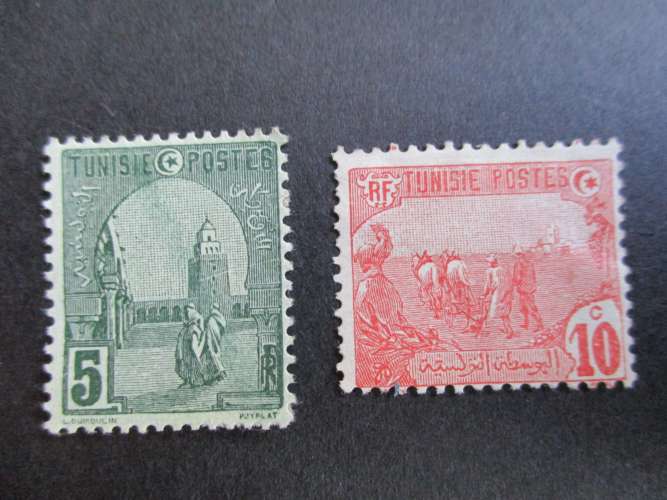 Tunisie y & t  31 & 32 * 1906