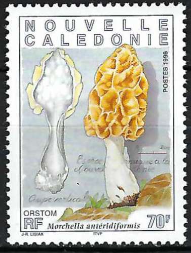 Nouvelle-Calédonie - 1998 - Y & T n° 749 - MNH