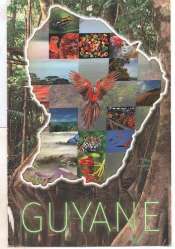 cpm Guyane multivues(timbrée lettre verte Guadeloupe 2019 )