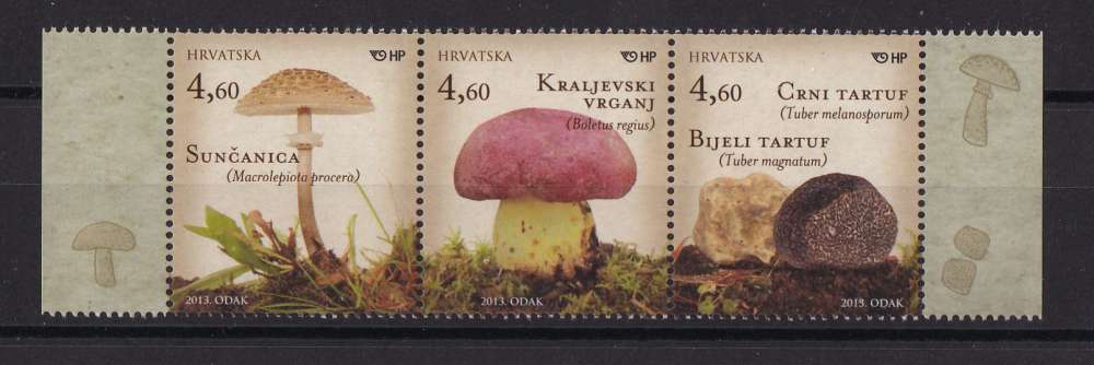 CROATIE  Y/T  n° 1011/1013    neuf **    2013