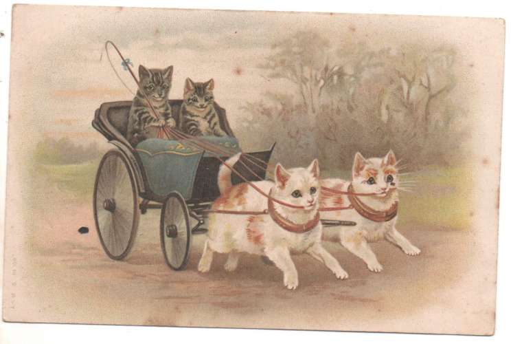 cpa Fantaisie Attelage de Chats