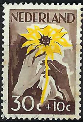 Pays-Bas - 1949 - Y & T n° 512 - MH