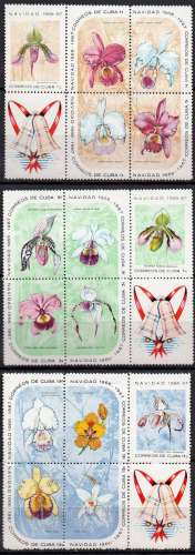 Flore - Fleurs - Orchidée d'Amérique du Sud
