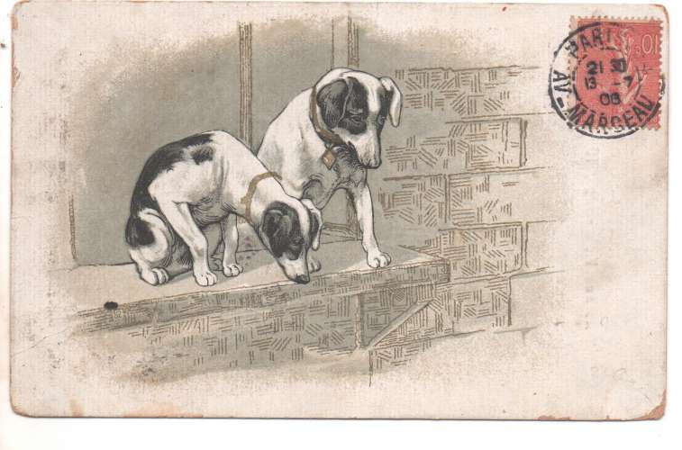 cpa  fantaisie Deux chiens sur une marche