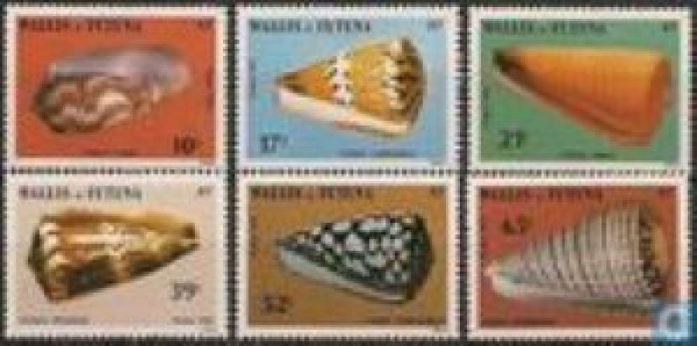 Faune - coquillages 306/311