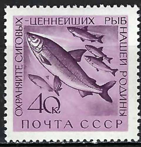 Russie - 1959-60 - Y & T n° 2185A - MH