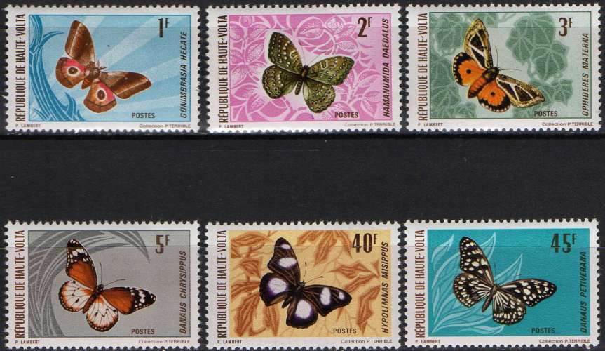 Faune- Papillons Faune- Papillons