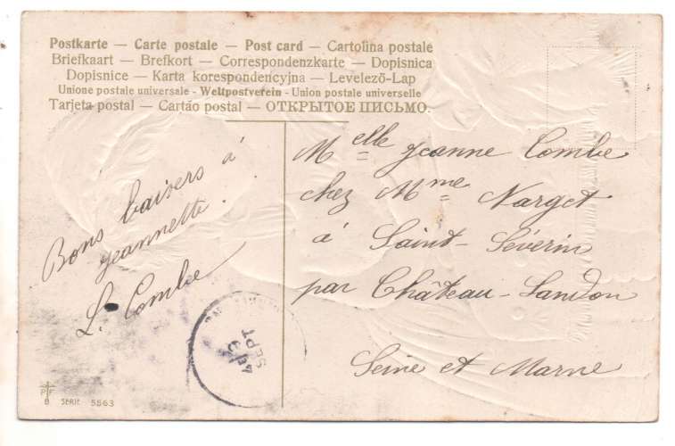 cpa gaufrée : fillette et chat