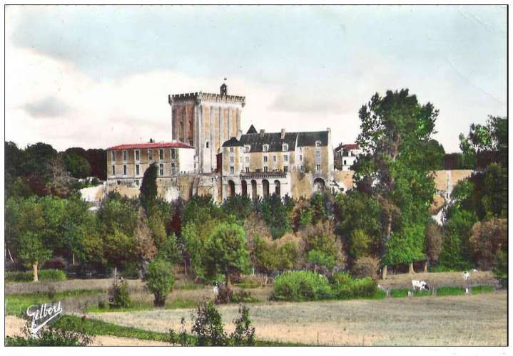 17 - PONS - CHATEAU DES SIRES DE PONS 