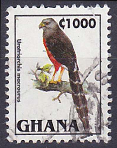 Timbre oblitéré n° 1841(Yvert) Ghana 1995 - Oiseau, voir description