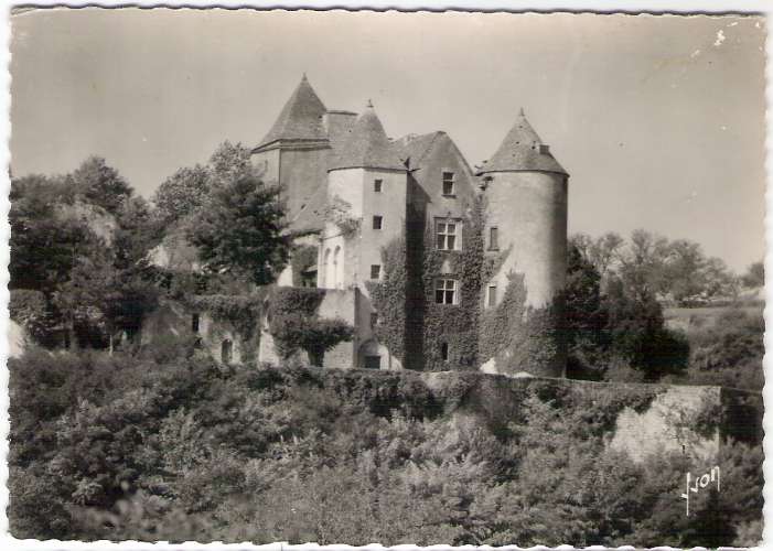 24 - SALIGNAC - CHATEAU DE SALIGNAC FENELON