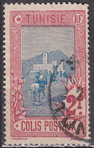 TUNISIE colis postaux N° 9 de 1906 oblitéré 