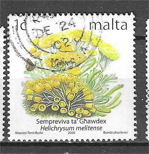 MALTE YT 1111