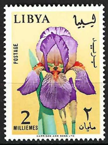 Libye - 1965 - Y & T n° 273 - MNH