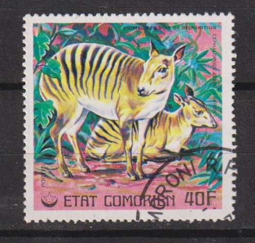 COMORES Y T N °177 oblitéré