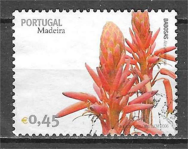 MADERE YT 251