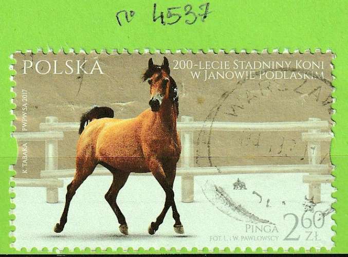POLOGNE YT N°4537 OBLIT