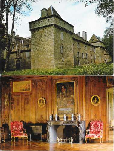 48 - CHATEAU DE LA BAUME - 2 CARTES POSTALES 48 - CHATEAU DE LA BAUME - 2 CARTES POSTALES