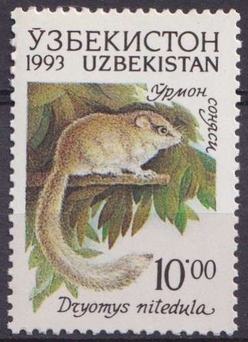 Ouzbekistan 1993 Y&T 12 neuf ** - Dryomys nitedula 