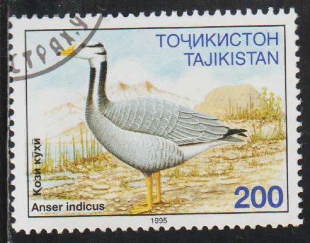 TADJIKISTAN 1996 - Y&T N° 75