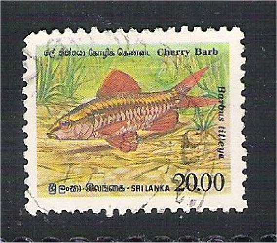 Ceylon - Scott 980