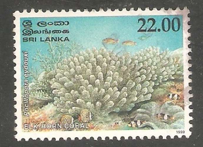 Ceylon - SG 1487