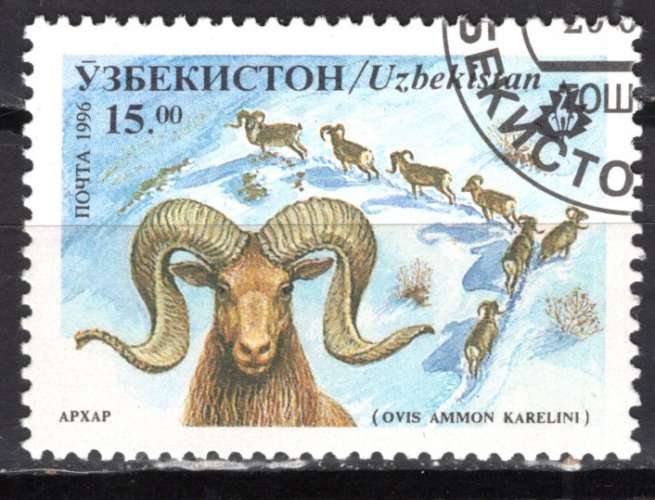 OUZBEKISTAN 1996 ANIMAUX LE MARKHOR  OBLITERE