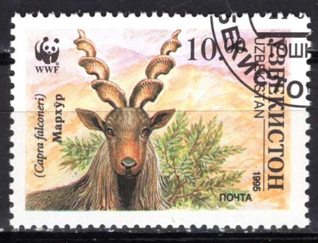 OUZBEKISTAN 1995  ANIMAUX WWF LE MARKHOR  OBLITERE