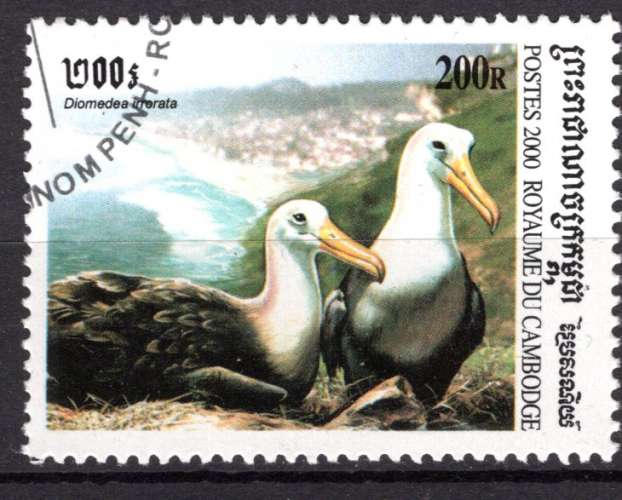 CAMBODGE 2000 OISEAU  LE DIOMEDEA  OBLITERE
