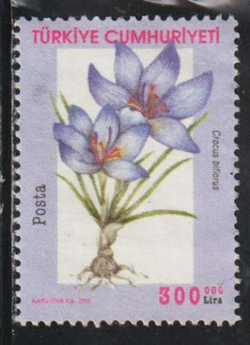 TURQUIE 2000 - Y&T N° 2975