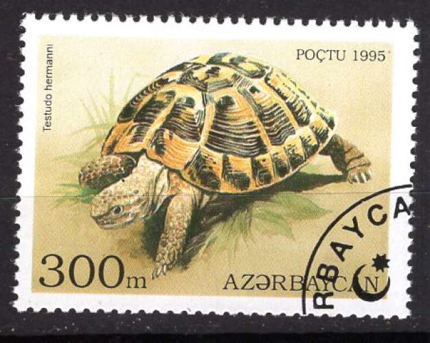 AZERBAIDJAN 1995 ANIMAUX LES TORTUES OBLITERE