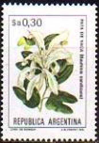 Fleur : patte de vache (bauhinia candicans) (1981) - YT 1355 **