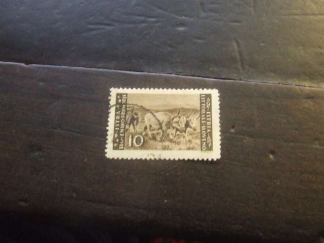ISTRIA LITORALE SLOVENO 1946 PAESAGGI 10 l USATO