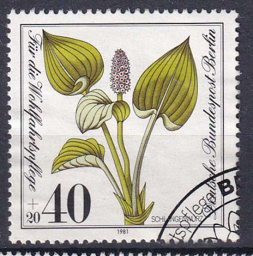 ALLEMAGNE - BERLIN - 1981 - Fleurs - Yvert 614 Oblitéré