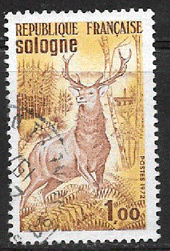 France - YT  1725  obl - Sologne (1972) 