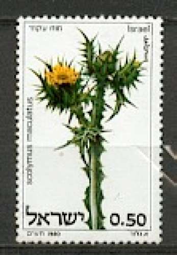 ISRAËL - neuf ** - 1980 - YT. 757 - Chardon