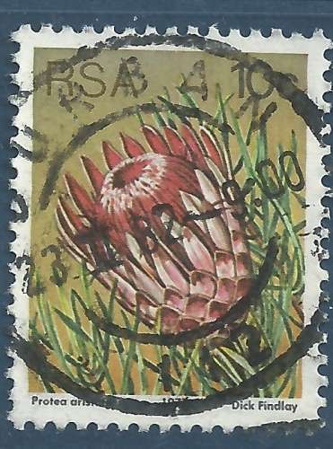 Afrique du Sud - YT 425 - Protea aristata - fleur