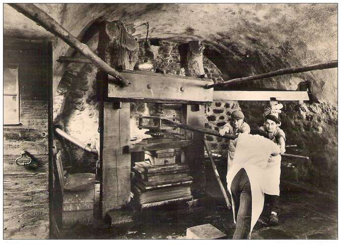 63 - Ambert -  le pressage des feuilles blanches