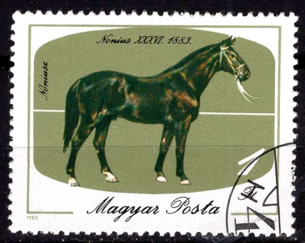 HONGRIE 1985 ELEVAGE DE  CHEVAUX OBLITERE
