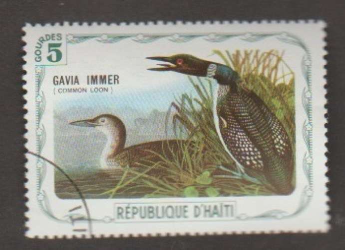 Haiti - NOI 44