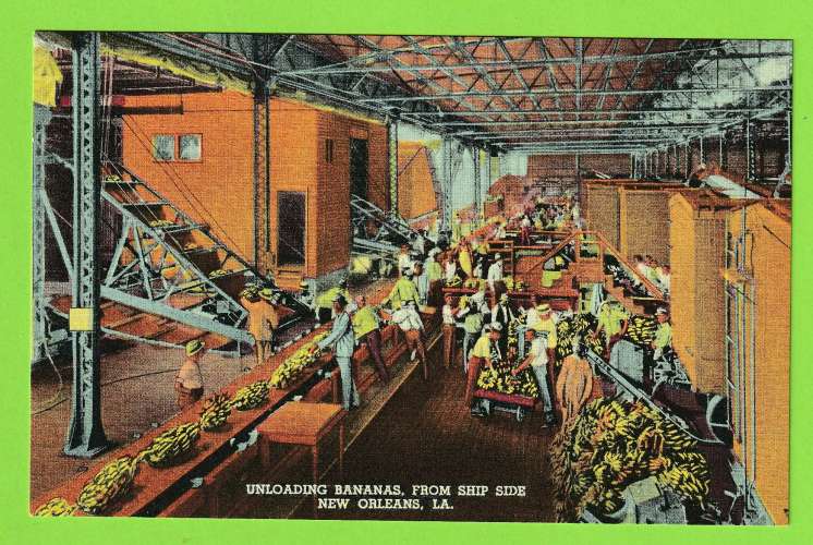 UNLOADING BANANAS FROM SHIP SIDE