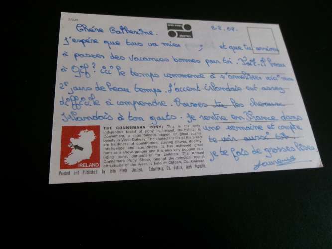 BEAU CHEVAL ..