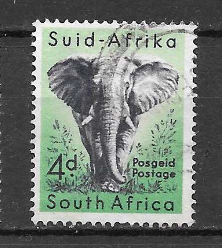 Afrique du sud Y&T n° 206 elephant - 1954
