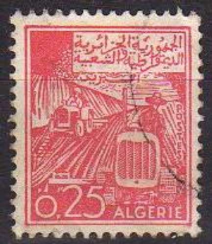 Agriculture, 0,25d (1964) - YT 389 °