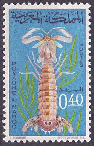 Timbre neuf ** n° 492(Yvert) Maroc 1965 - Crustacé, squille